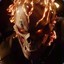 MrPhoenix