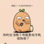 小鼹鼠的土豆TUDOU