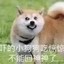 白给之王