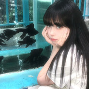 小鱼快快游 四面八方皆自由