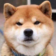 我不管，是你先转的