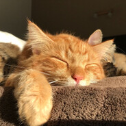 ClicClicBoom's avatar