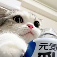 我是艾派克斯萌新，你可以叫我派蒙