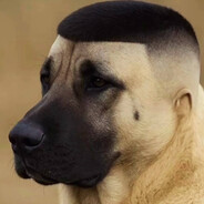 СТРОГО