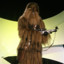 Rookie wookiee