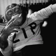 Даша Мясник