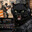 ANGRY Cat