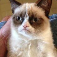 Timthegreat9