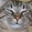 catlickinliquor's Avatar