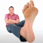 青春猪头少年不会梦上