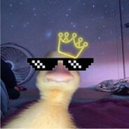 $_CiTrIx_$