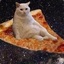 PizzaCat