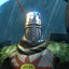 EldarTsor
