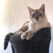 Blinx^^
