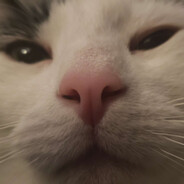 RikkaTaxi
