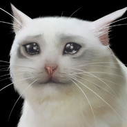 ONEIM's avatar