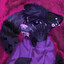Tiny_Hati
