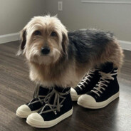 дикий перец