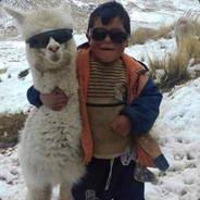 redus la tacere caine