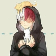 WOA avatar