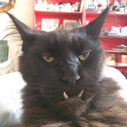 VODNIK - steam id 76561198149061397