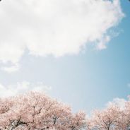 然而我只是新手