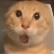 哈吉米莫，南北绿豆