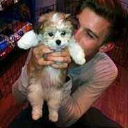 开蹦蹦的小阿东