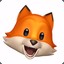 FoxezNsoxez