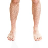 Leg