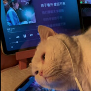 神区化龙一念间