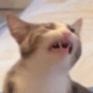 jpeg