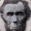 Ape Lincoln