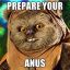 Prepare Your Anus!