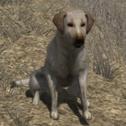 Rufus - steam id 76561197960515291
