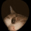 bungabuto