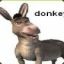 d0NkEy