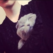 阿猫阿狗也开直播？