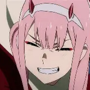 红红公主(zerotwo)
