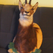 It's Mr. Gootbuy to You