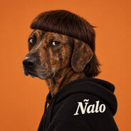 DogPeek Ñalo