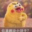 沙鹰小王子