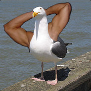 Flexgull