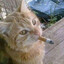 Fri's avatar