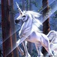 Unicorn_Max