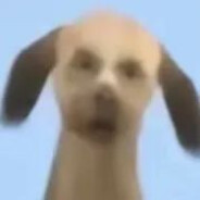 顶真（考研版）