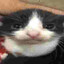 надели намордник's avatar