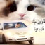 whiteowllover's avatar