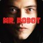 Mr.Robot