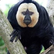 lp石头人0/11搞我